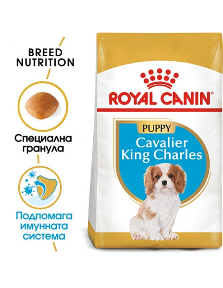 Royal Canin Cavalier King Charles Puppy - за подрастващи кучета от породата Кавалер Кинг Чарлз - 1.5 кг