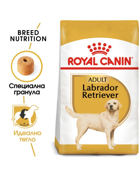 Royal Canin Labrador Retriever Adult - за кучета порода лабрадор на възраст над 15 месеца - 12 кг