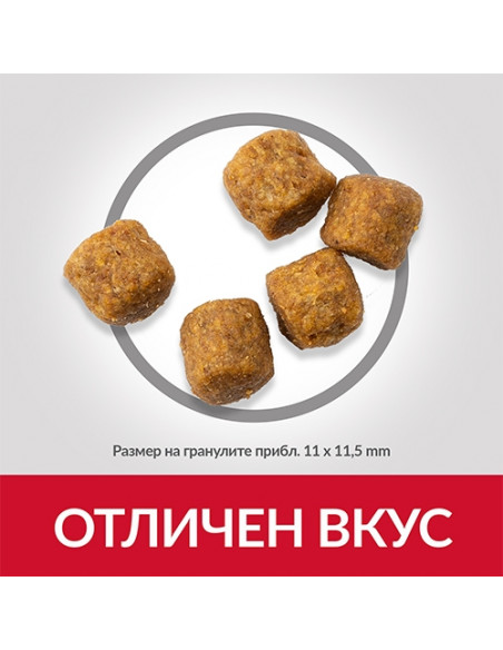 Hills Science Plan Canine Adult Medium Lamb - кучета от средни породи с агнешко - 14 кг