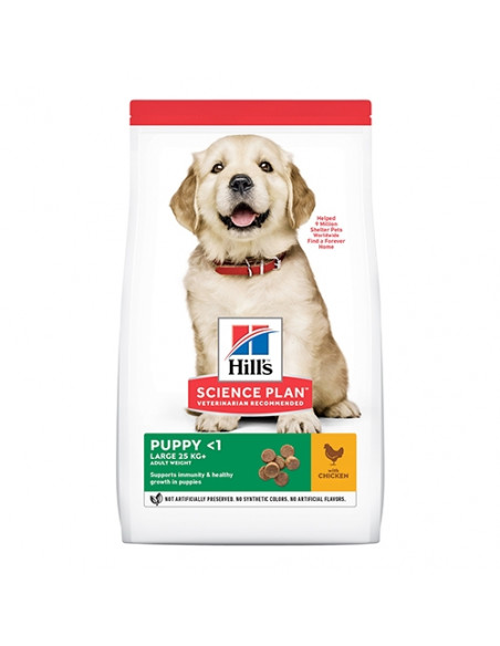 Hills Science Plan Canine Puppy Large Breed Chicken - Пълноценна суха храна за подрастващи кученца от едри породи с пиле - 2,