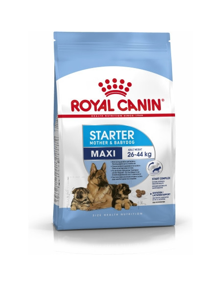 Royal Canin Maxi Starter - суха храна за подрастващи кучета