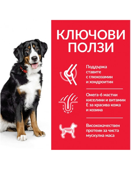 Hills Science Plan Canine Adult Large Breed Chicken - кучета от едри породи с пиле - 18 кг