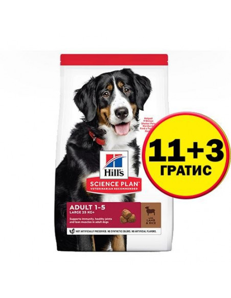 Hills Science Plan Canine Adult Large Breed Lamb - Rice - кучета от едри породи с агнешко - 14 кг
