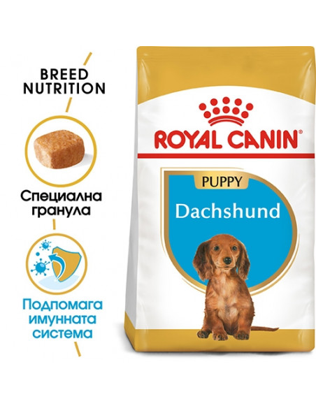 Royal Canin Dachshund Puppy - за подрастващи кучета порода дакел от 2 до 10 месечна възраст - 1.5 kg