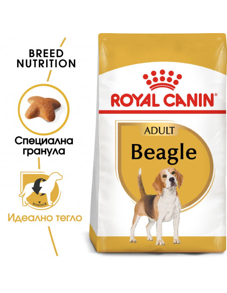 Royal Canin Beagle Adult - за кучета порода бигъл на възраст над 12 месеца - 3 кг.