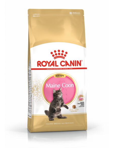 Royal Canin Maine Coon Kitten - За подрастващи котенца до 15 месеца от порода Мейн Кун - 2 кг