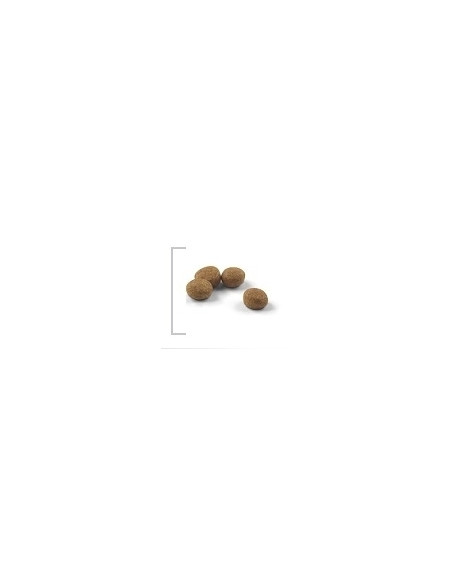 Royal Canin Sterilised - суха храна за кастрирани котки