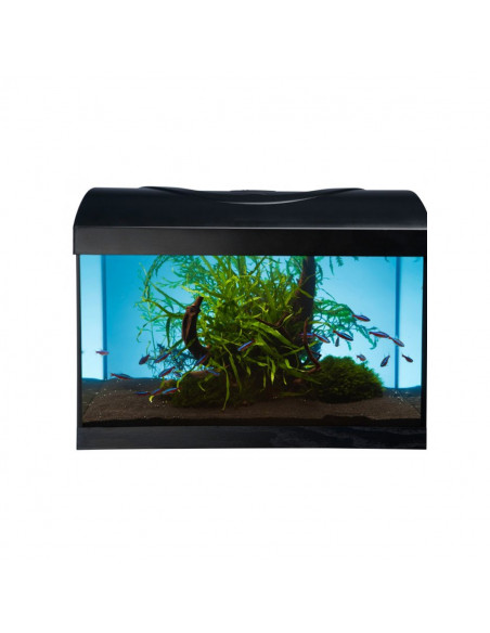 Diversa STARTUP 40