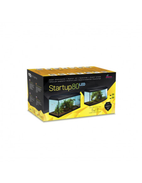 Diversa Startup 80 set Oval Оборудван аквариум за рибки