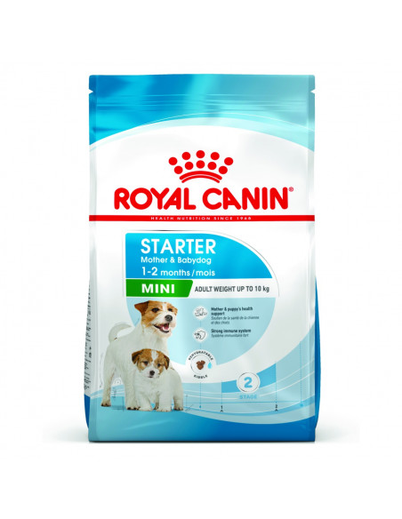 ROYAL CANIN MINI STARTER MOTHER - BABYDOG - суха храна за подрастващи кучета