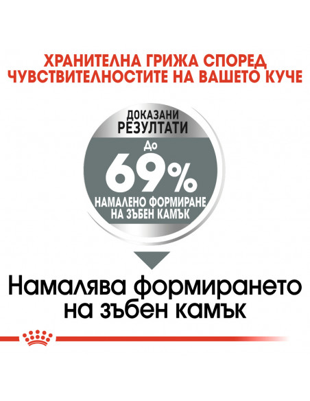 Royal Canin Mini Dental Care - пълноценна храна за кучета в зряла възраст от дребни породи (от 1 до 10 кг) над 10 месеца при 