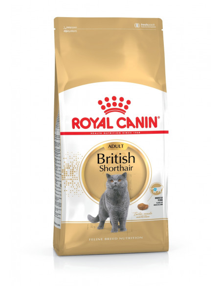 Royal Canin British Shorthair суха храна за породисти котки