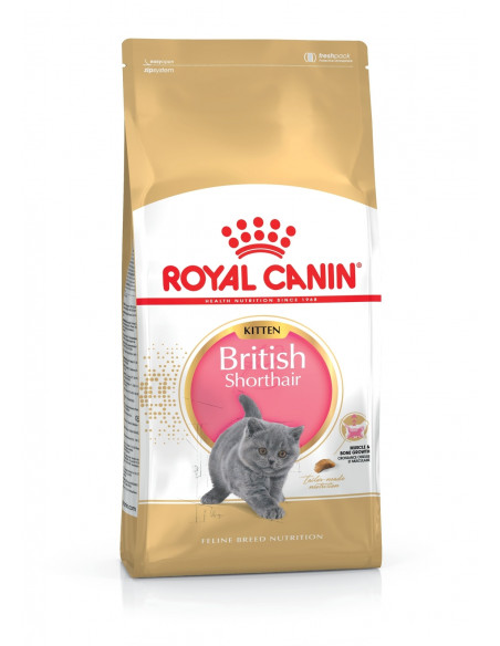 Royal Canin Kitten British Storthair - суха храна за породисти котки