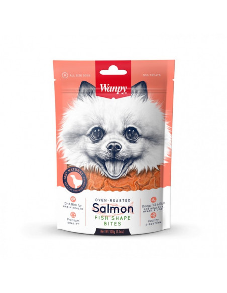 Wanpy Salmon Fish Shape Bites 100 г - премиум клас хапки със сьомга, печено на фурна