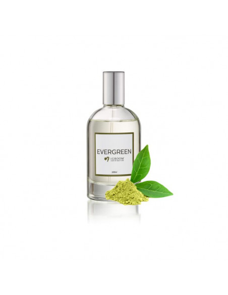Парфюм Evergreen - 100мл.