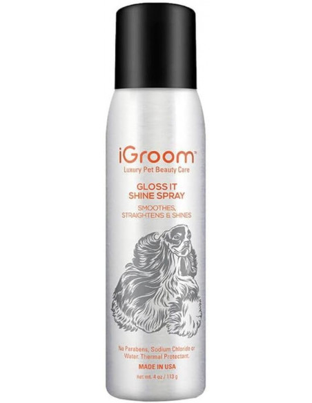 Gloss It Shine Aerosol Spray - Завършващ спрей/лак, който олекотява и изправя косъма,придавайки страхотен блясък и безупречен