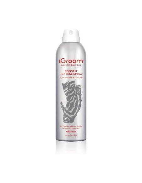 Boost It Texture Aerosol Spray - Завършващ спрей/лак за моментален обем, форма итекстура. 207мл.