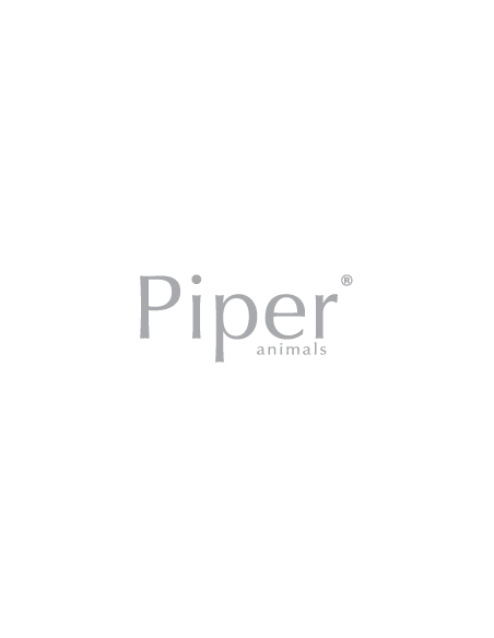 Piper