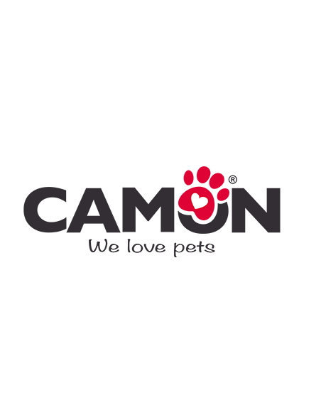 Camon
